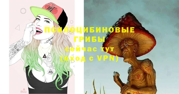 a pvp Костерёво