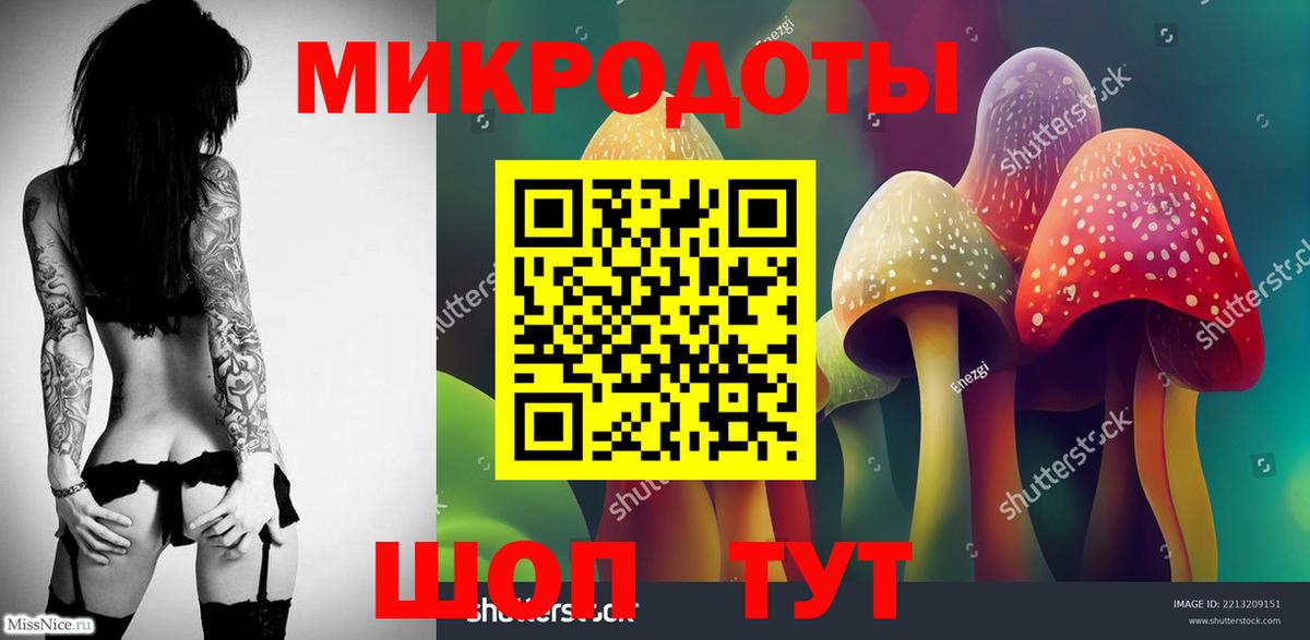 что такое   Вход с VPN  Красноармейск  Галлюциногенные грибы GOLDEN TEACHER 